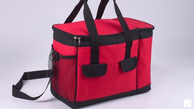 Pull-along Insulated Cooler Bag on Wheels
